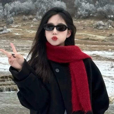 艾伦·杜卡斯的追逐 海报